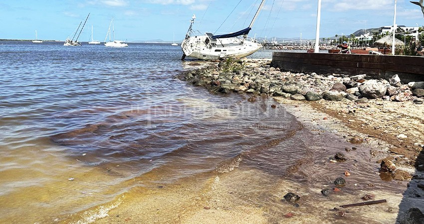 Por contaminantes, recomienda COEPRIS no acudir a las playas