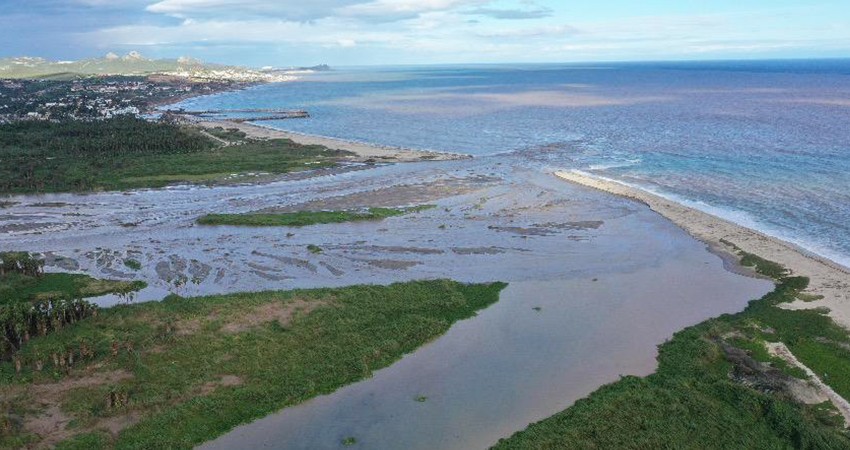“Norma” expulsó el 80% del lirio acuático del Estero Josefino “Norma” expulsó el 80% del lirio acuático del Estero Josefino