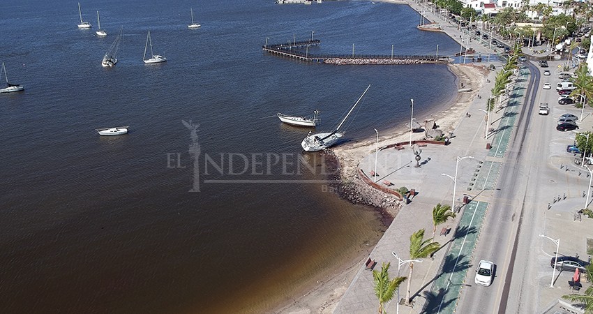 Turismo La Paz: Derrame de hidrocarburos en la bahía tendrá un impacto en el avistamiento del tiburón ballena