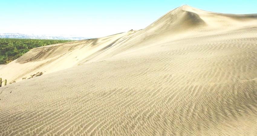 Realizan estudio de caracterización de dunas en El Mogote y Puerto Chale
