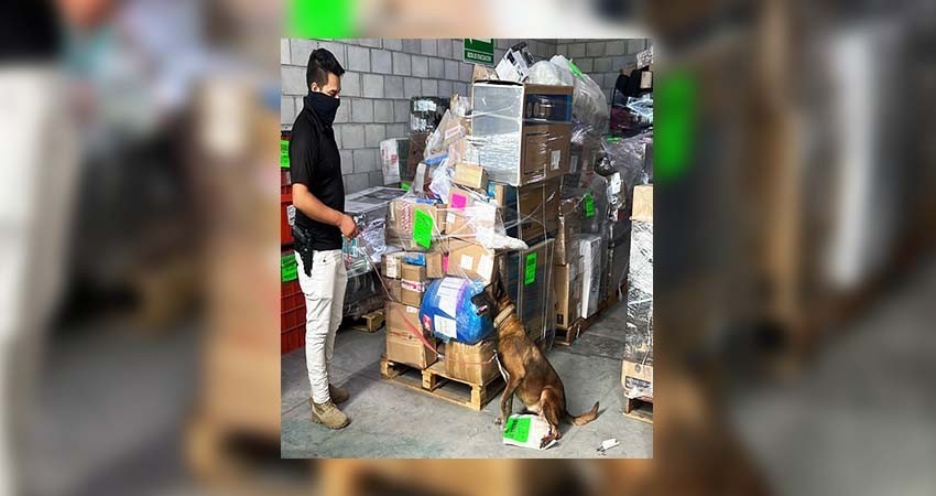 Asegura la PGJE narcóticos en empresa de paquetería en La Paz