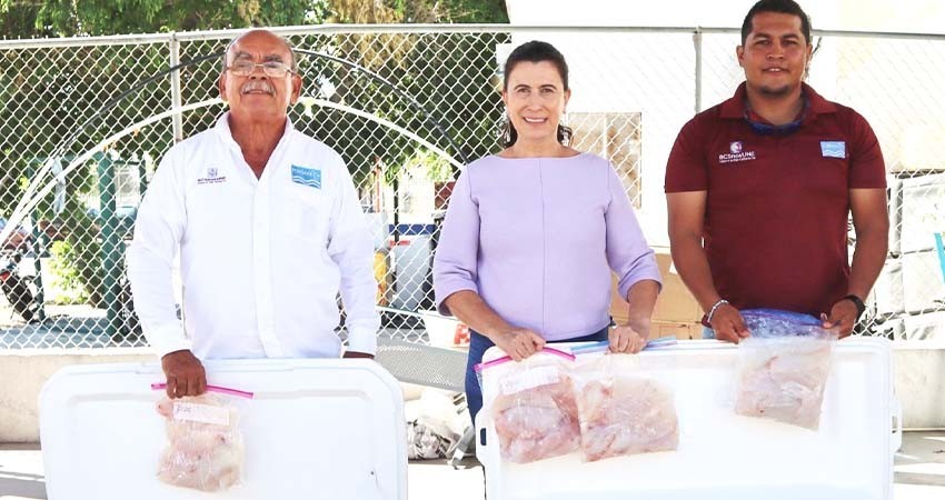Recibe DIF municipal La Paz donación de 78 kilos de pescado de FONMAR