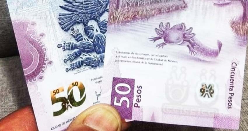 Billete de 50 pesos con ajolote se vende en 400 mil pesos Billete de 50 pesos con ajolote se vende en 400 mil pesos