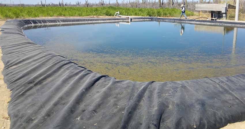 Trabaja SEPADA en proyectos para la conservación del agua
