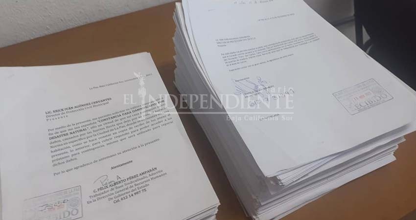 Burócratas denuncian viacrucis para obtener “hoja café”; denuncian irregularidades Burócratas denuncian viacrucis para obtener “hoja café”; denuncian irregularidades