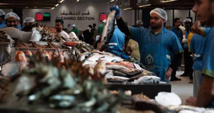 Más de 35 mil personas de origen extranjero se incorporaron al sector laboral: ACNUR Más de 35 mil personas de origen extranjero se incorporaron al sector laboral: ACNUR