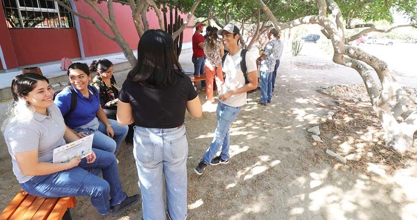 Instalan en la UABCS el primer oasis urbano