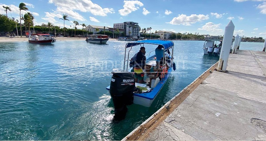 Prestadores de servicios turísticos prevén derrama económica de 45 MDP durante temporada de avistamiento de Tiburón Ballena