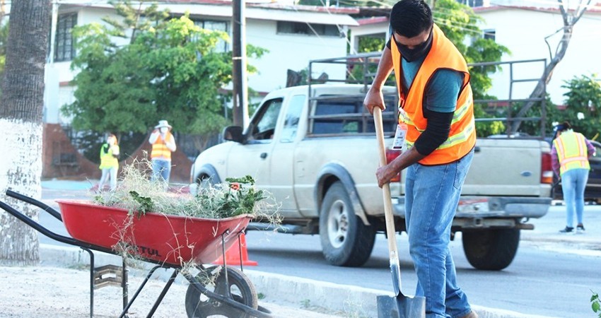 Continúan los trabajos de limpieza en camellones y avenidas de La Paz