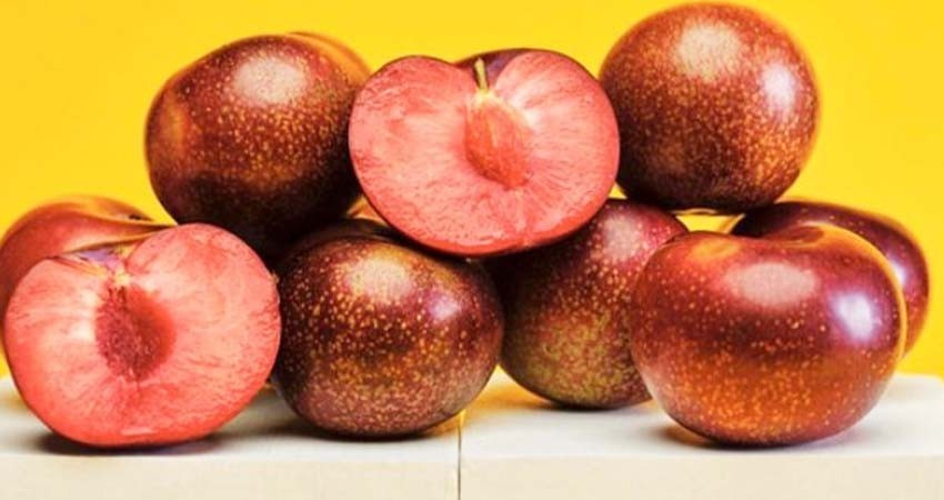 Alerta Cofepris por frutas importadas contaminadas con peligrosa bacteria Alerta Cofepris por frutas importadas contaminadas con peligrosa bacteria