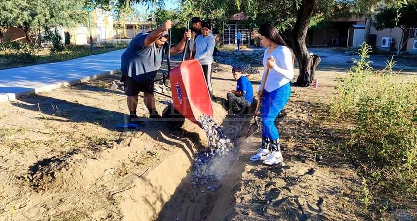 Rehabilitan zanjas de infiltración pluvial en la UABCS
