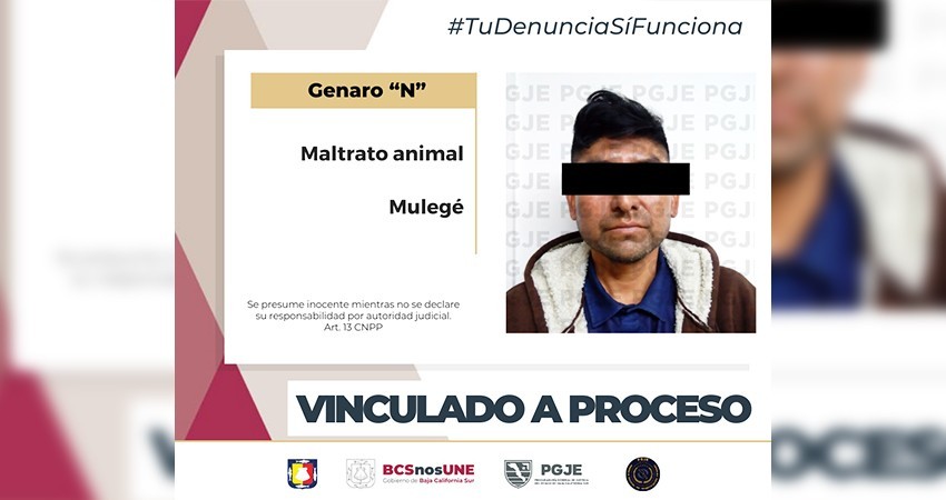 Vinculan a proceso a Genaro “N” por el delito de maltrato animal Vinculan a proceso a Genaro “N” por el delito de maltrato animal