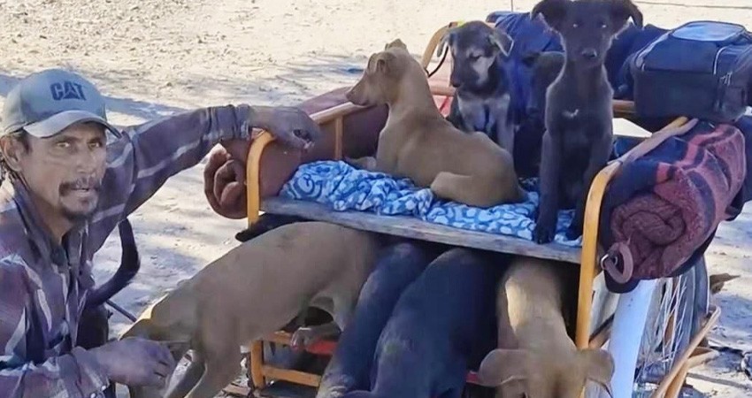 De Los Cabos a Oaxaca: Un hombre y sus 16 perros recorren México en triciclo De Los Cabos a Oaxaca: Un hombre y sus 16 perros recorren México en triciclo