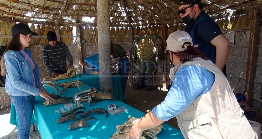 UABCS y CONANP promueven prácticas agrícolas sustentables en la Reserva de la Biosfera “El Vizcaíno”