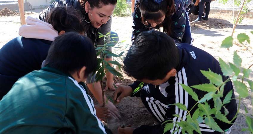 Reinicia SIPINNA actividades del programa de reforestación “Plantando Tus Derechos”