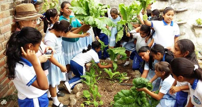 Aprueban constitucionalmente la materia ambiental en el Sistema Educativo: PVEM Aprueban constitucionalmente la materia ambiental en el Sistema Educativo: PVEM