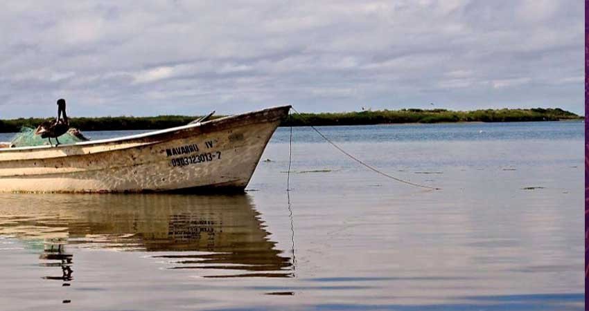 Solo 3 touroperadores prestan sus servicios en Puerto López Mateos para el avistamiento de ballena gris Solo 3 touroperadores prestan sus servicios en Puerto López Mateos para el avistamiento de ballena gris
