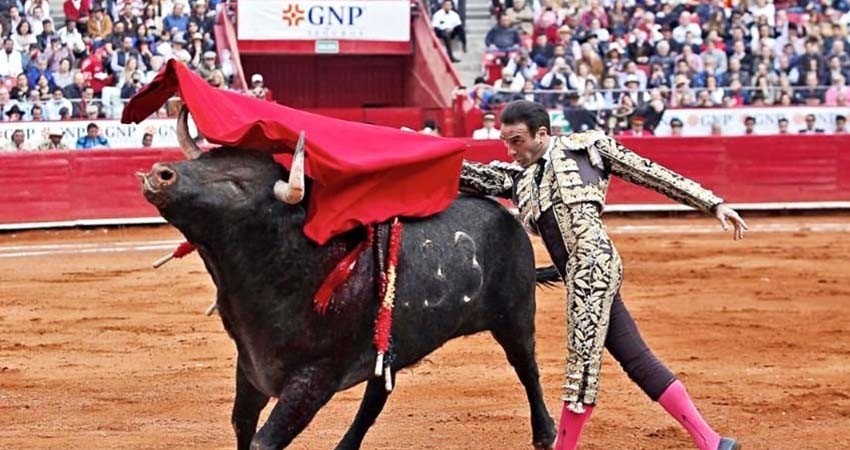 Bajo protesta y recinto lleno, volvió la fiesta brava a la Plaza México Bajo protesta y recinto lleno, volvió la fiesta brava a la Plaza México