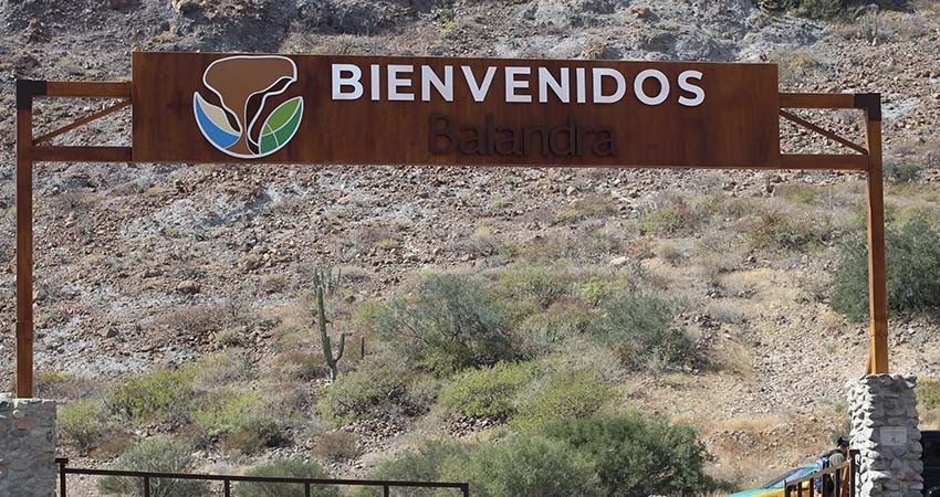 Confirma CONANP nueva tarifa de acceso a Balandra; solo los turistas pagan