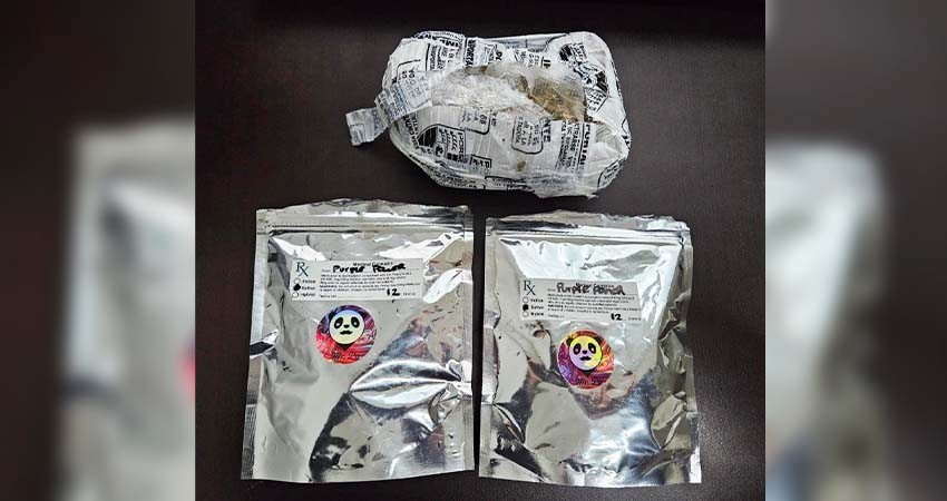 Aseguran un importante número de narcóticos en empresa de paquetería