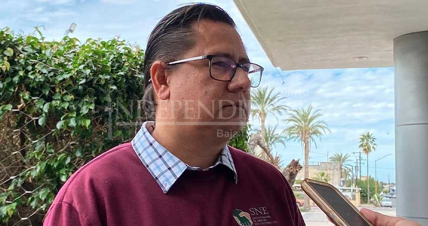 SNE BCS registra 2 casos de estafas por presuntas ofertas de empleo en el extranjero SNE BCS registra 2 casos de estafas por presuntas ofertas de empleo en el extranjero