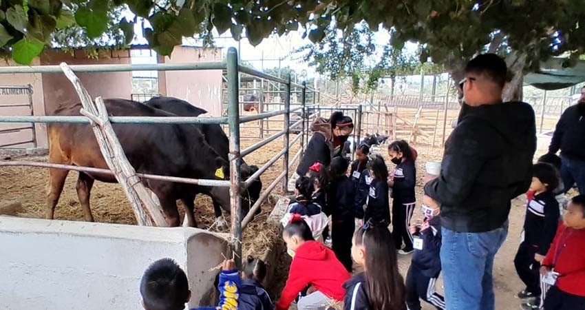 UABCS reanuda visitas guiadas a su Posta Zootécnica UABCS reanuda visitas guiadas a su Posta Zootécnica