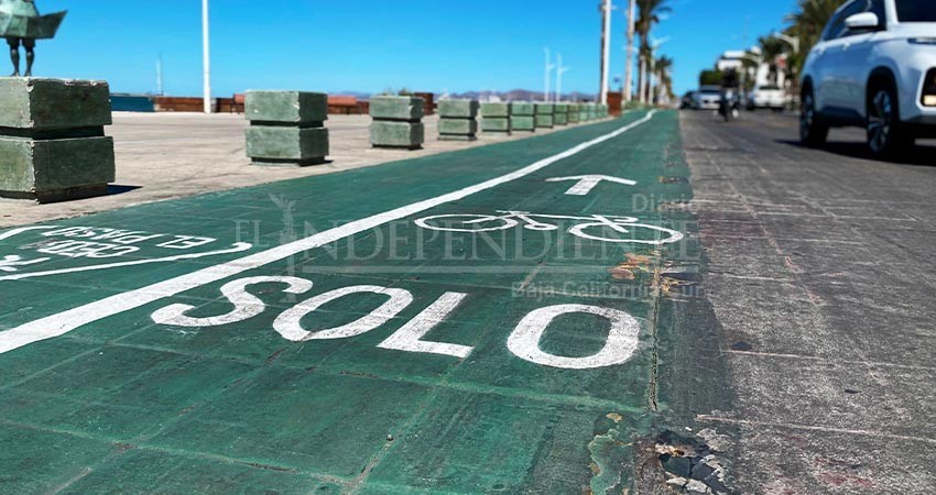 En caso de accidente en la ciclovía del malecón, el Ayto tiene corresponsabilidad por los daños: Regidor