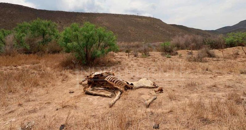 Baja California Sur, entre entidades más afectadas por la sequía; INEGI Baja California Sur, entre entidades más afectadas por la sequía; INEGI