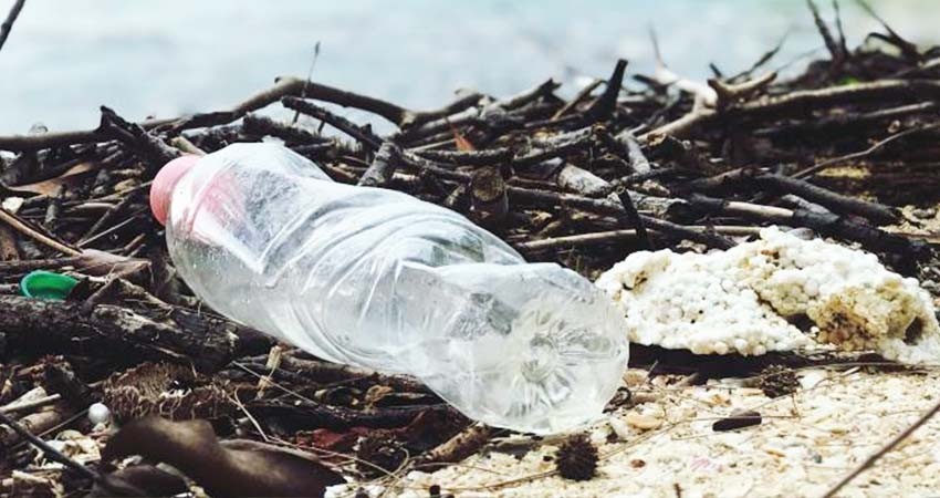 WWF impulsa en México un pacto empresarial para reducir el uso del plástico WWF impulsa en México un pacto empresarial para reducir el uso del plástico