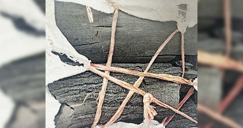 Por delito contra la gestión ambiental, vinculan a proceso contra dos personas en BCS Por delito contra la gestión ambiental, vinculan a proceso contra dos personas en BCS