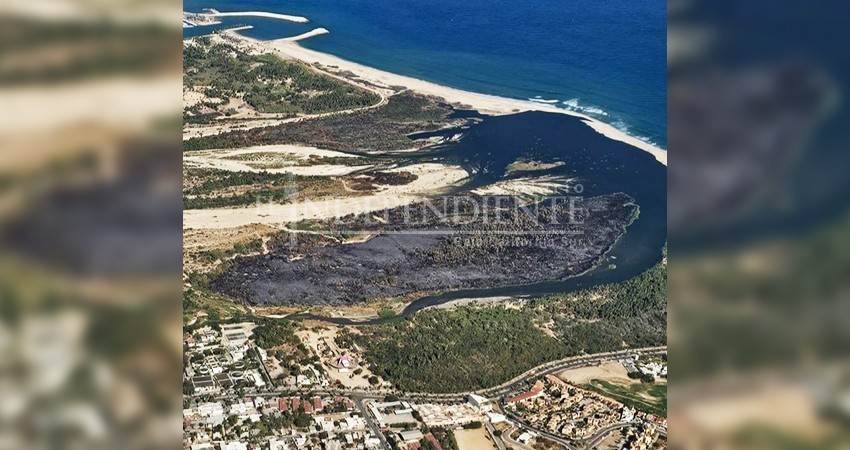 Desde el 2022, el Estero Josefino ha perdido más de 50 hectáreas mediante incendios