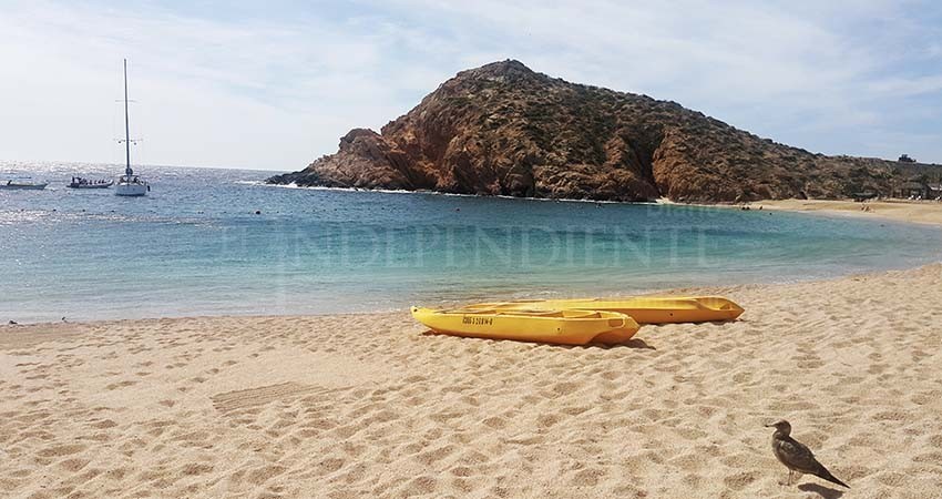 Playas de BCS en óptimas condiciones para uso recreativo: COEPRIS Playas de BCS en óptimas condiciones para uso recreativo: COEPRIS