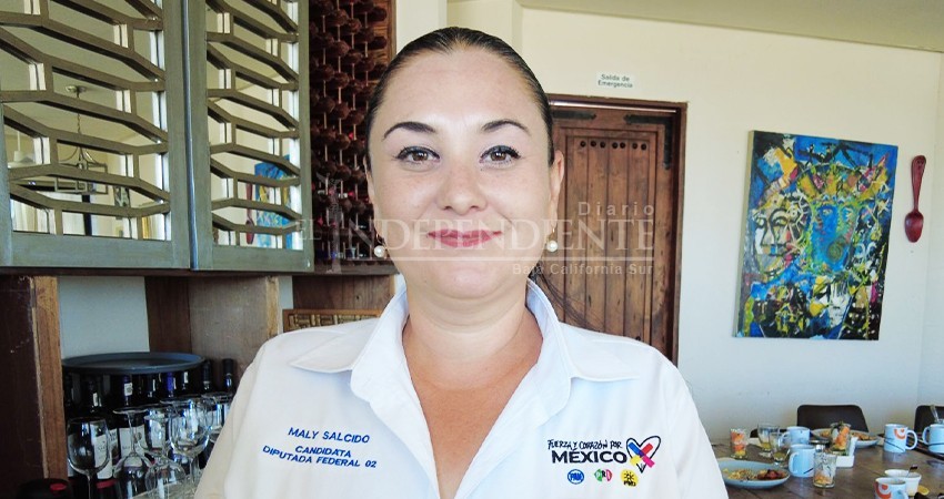 Turismo alternativo, gestión de recursos y pavimentación: propuestas de Maly Salcedo rumbo a diputación federal Turismo alternativo, gestión de recursos y pavimentación: propuestas de Maly Salcedo rumbo a diputación federal