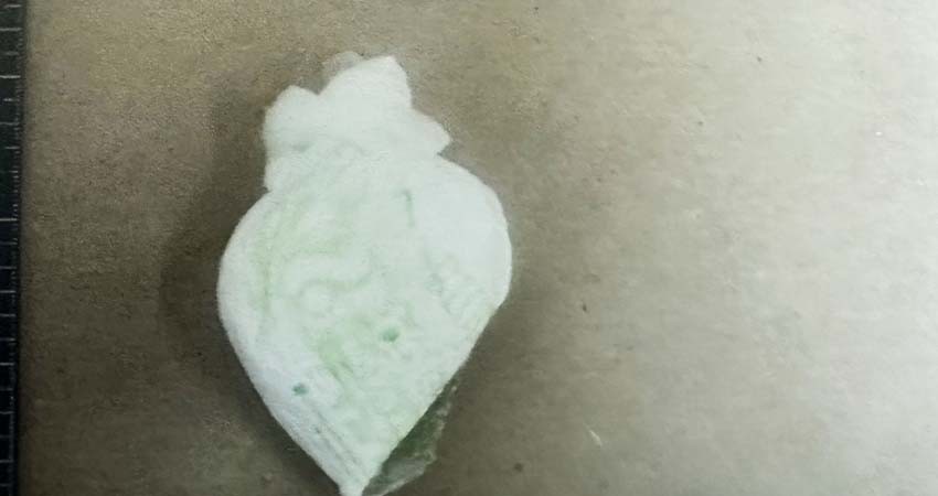 Por posesión de metanfetaminas vinculan a proceso a dos personas