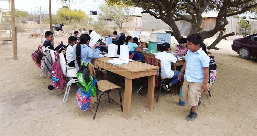 A falta de infraestructura escolar, en Los Cabos un grupo de niños estudia bajo un árbol