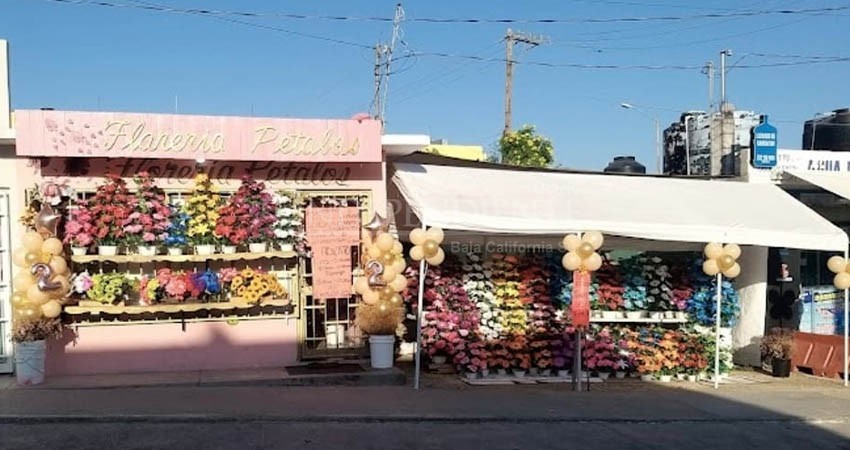 Comercios de Los Cabos verán alza en las ventas por festejos de Día de la Madre: CANACO