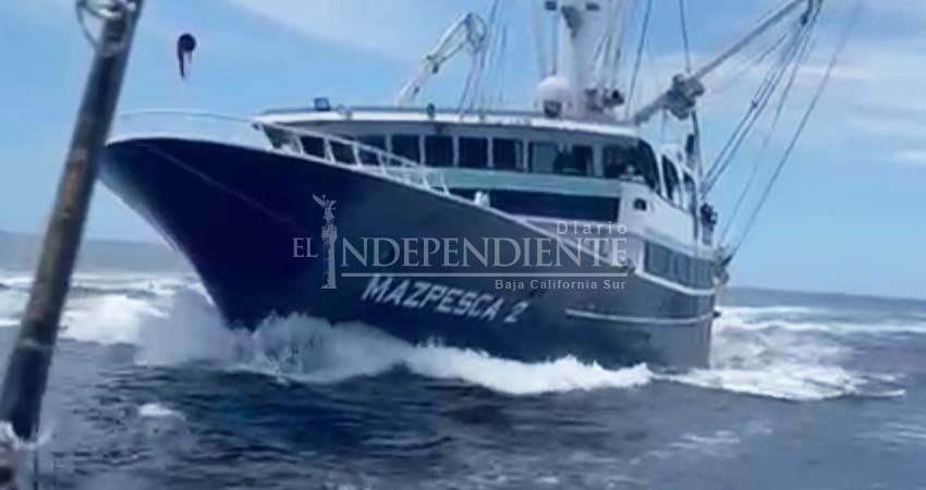 "Se están acabando el pescado": denuncian pescadores alta presencia de barcos atuneros en Los Cabos