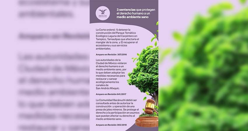 SCJN presenta tres sentencias que protegen al medio ambiente sano