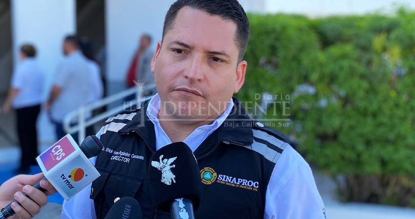 Protección Civil La Paz inició con poda de árboles para evitar riesgos durante la temporada de huracanes