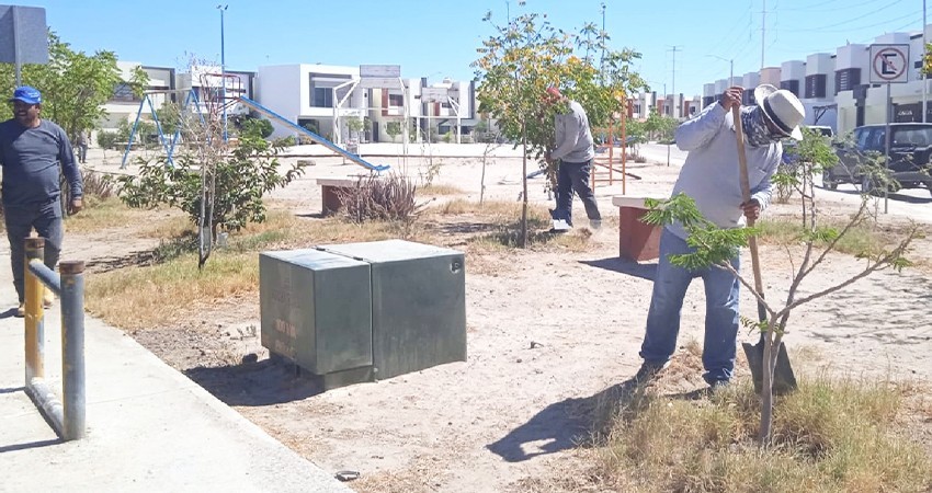 Realiza Servicios Públicos la limpieza de 10 parques públicos de La Paz