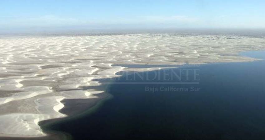 Vizcaino y Espíritu Santo, ejemplo de áreas protegidas en México