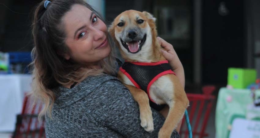 Celebran con éxito la Segunda Feria de Adopciones en el Ayuntamiento de La Paz