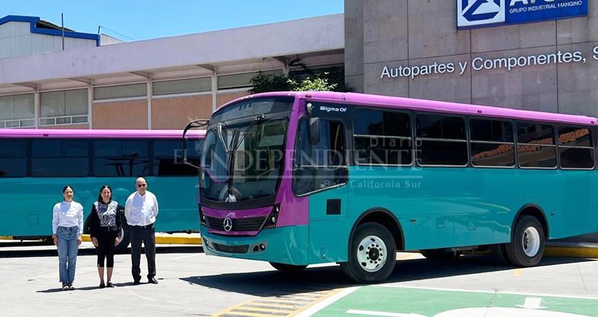 De manera gradual, los “Tiburones Urbanos” sustituirán a las unidades obsoletas en La Paz