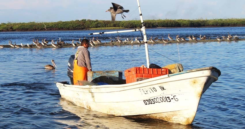 Trabaja gobierno de BCS en un programa de seguro de vida a pescadores y acuacultores