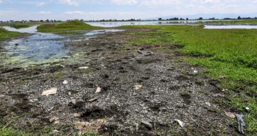 Sector hídrico urge al nuevo Gobierno de Sheinbaum acciones para afrontar la sequía