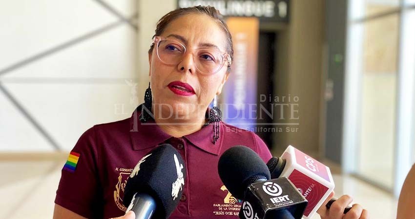 Tras fallecimientos por rickettsia en Vizcaino, piden fumigaciones vespertinas