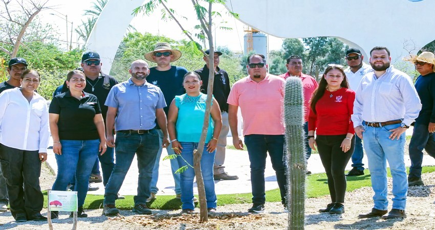 Conmemora la Dirección General de Servicios Públicos el Día Nacional del Árbol Conmemora la Dirección General de Servicios Públicos el Día Nacional del Árbol