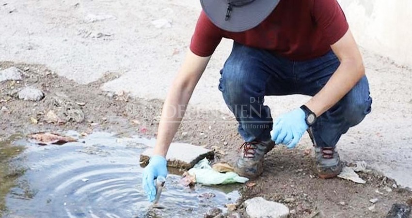 Emite la SSA recomendaciones preventivas para evitar futuros brotes de Melioidosis Emite la SSA recomendaciones preventivas para evitar futuros brotes de Melioidosis