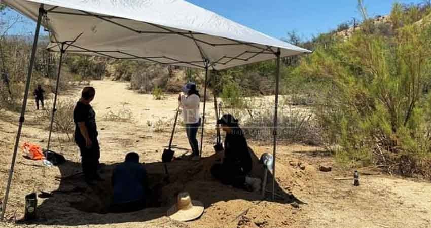 Osamentas encontradas en Los Cabos son masculinas Osamentas encontradas en Los Cabos son masculinas