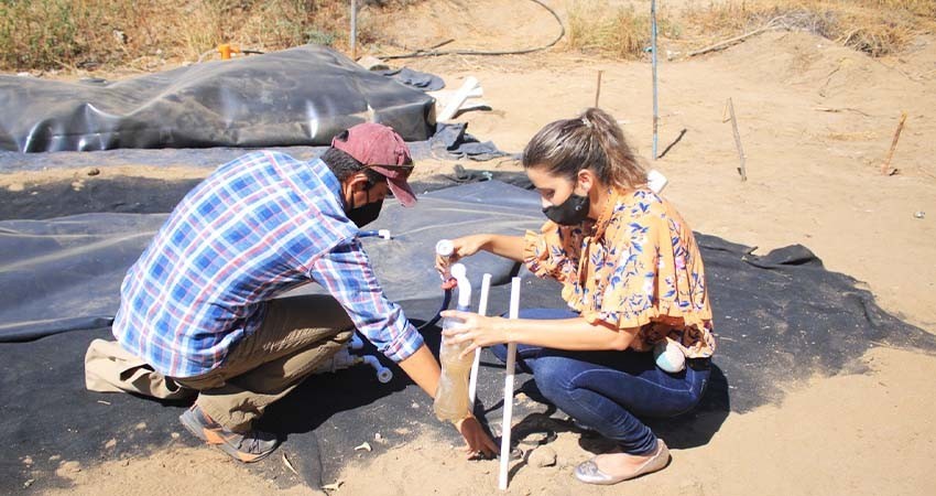 Promueve UABCS el uso de biodigestores y humedales artificiales para tratar aguas residuales Promueve UABCS el uso de biodigestores y humedales artificiales para tratar aguas residuales